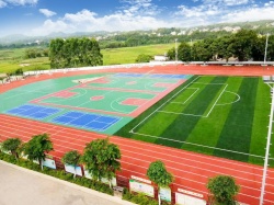 广西玉林市马坡中学塑胶跑道人造草
